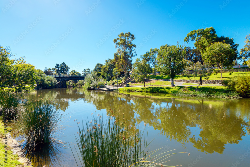 Fototapeta premium Adelaide city parklands