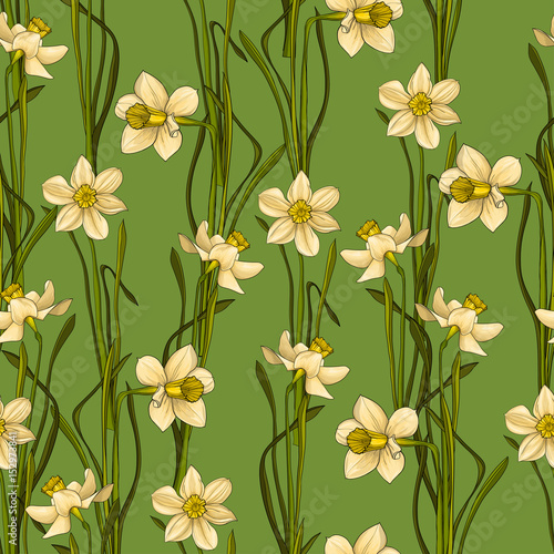 Elegance Seamless pattern with flowers daffodils  vector floral illustration in vintage style. Green background