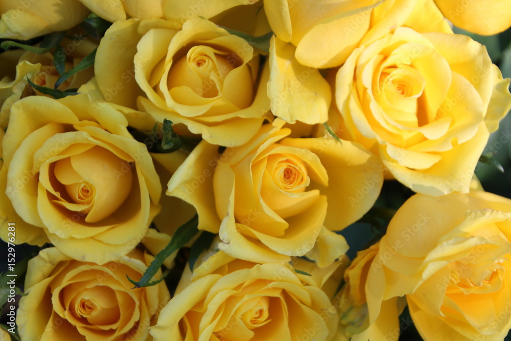 yellow bouquet