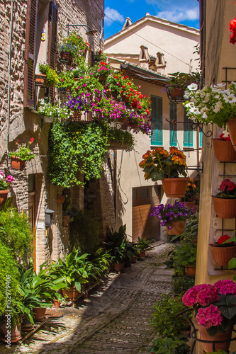 Vicolo addobbato con piante e fiori nel piccolo borgo medievale di Spello, Umbria
