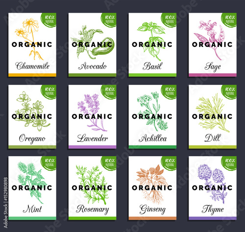 Herbs and spices cards set. Hand drawn medicinal, cosmetic plants collection. Engraving botanical illustrations tags.