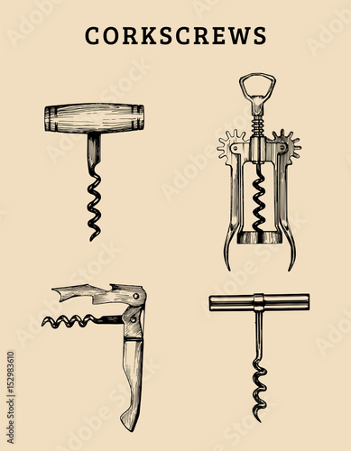 Hand drawn vector corkscrews set. Retro illustrations collection of different spins in sketch style. photo