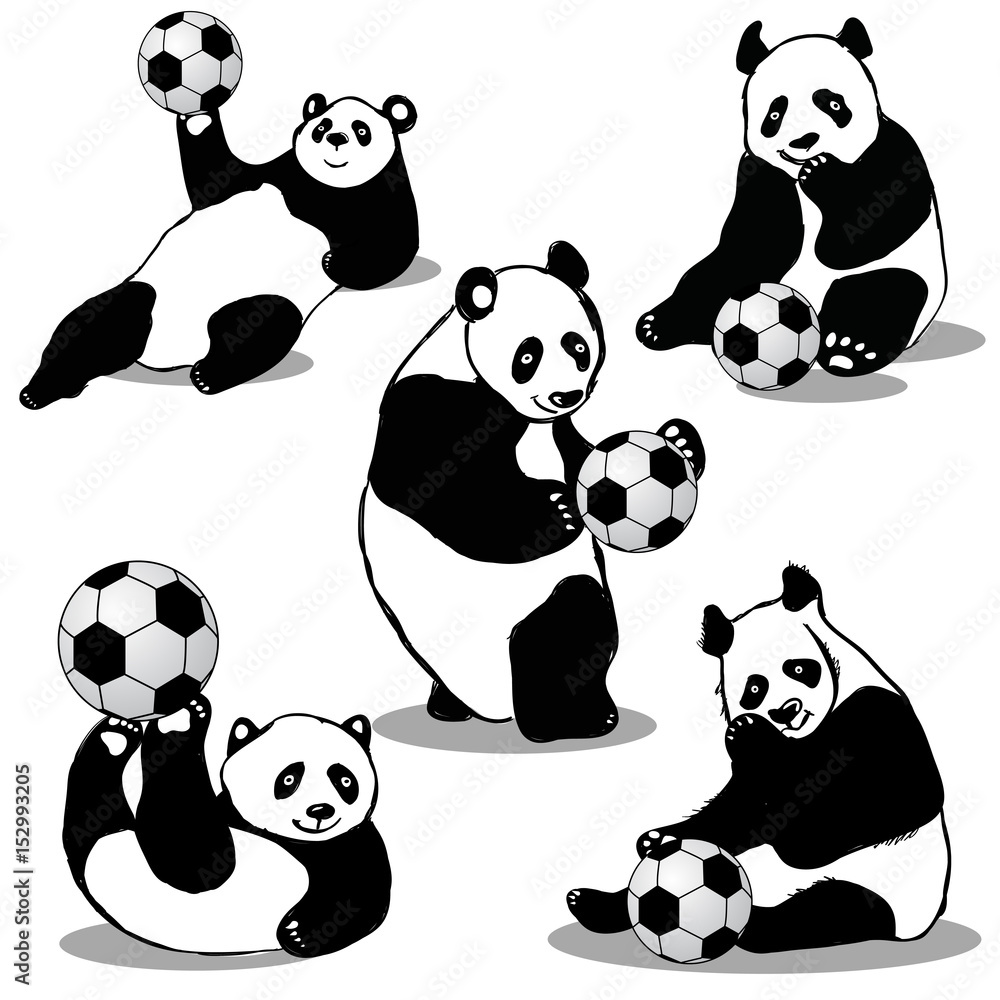 Panda Holds Soccer Ball Panda Holds Soccer Ball