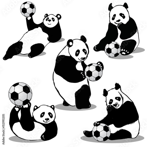 Panda Holds Soccer Ball