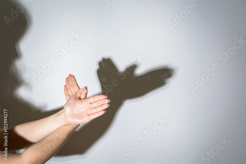 The shadow of the dove from the hands on the wall