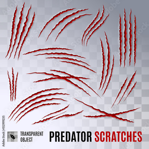 Predator Scratches