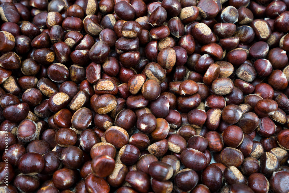 Chestnuts roasted with coffee beans (for aromatic) on the fire from a street vendor with spin fry pan. Chestnuts roasted with coffee beans (for aromatic) on the fire from a street vendor with spin fry pan.