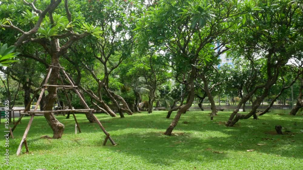 Thailande Bangkok Lumpini Park