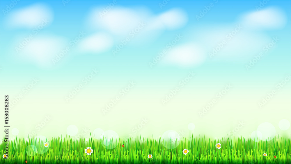 Obraz premium Summer landscape background, green, natural grass border with white daisies, camomile flower and small red ladybug. Blue sky, white clouds in the summer sky. Template for your design or creativity.