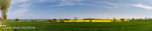 Etwas Raps an der Ostsee