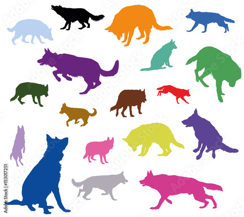 Set of vector dogs in different colors