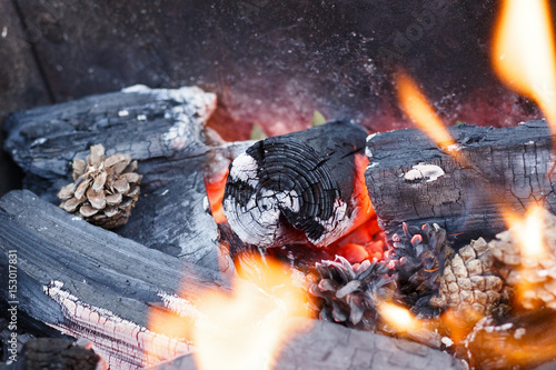 fire in nature . Bonfire in the forest closeup