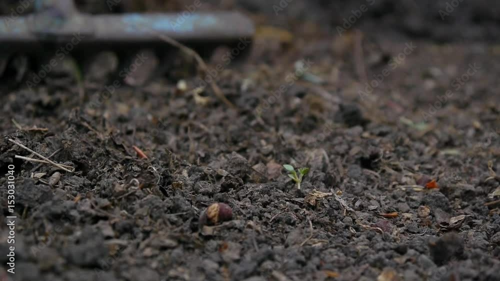 Rake Ground Slow Rake Ground Slow