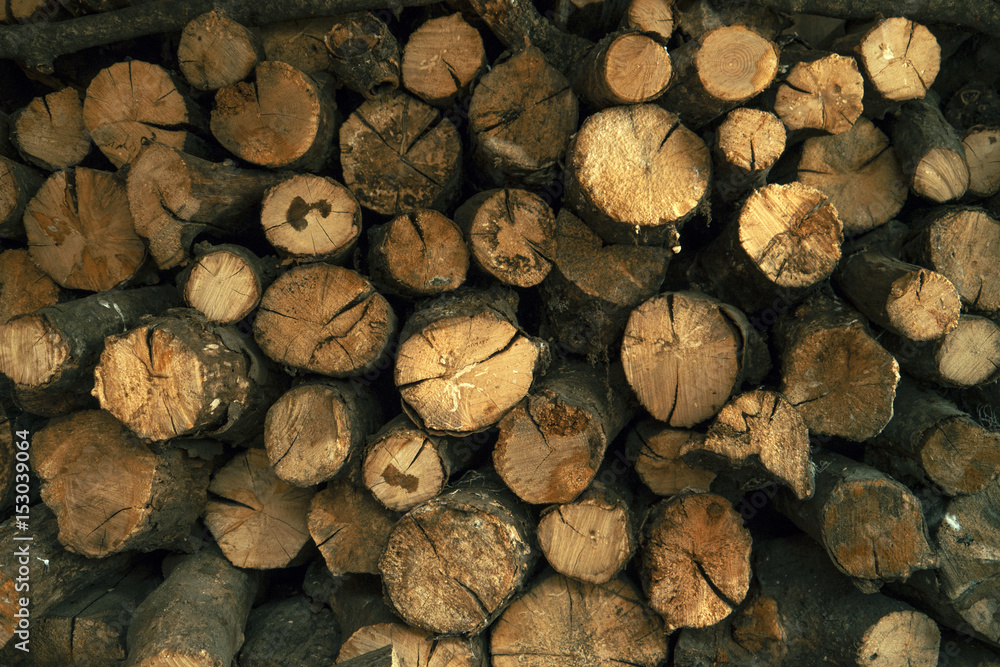 Firewood Firewood