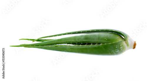 aloe vera fresh leaf isolated on white background