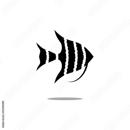 Angelfish vector icon