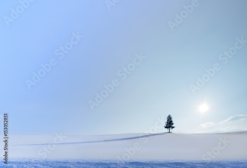 北海道、美瑛の雪景色
