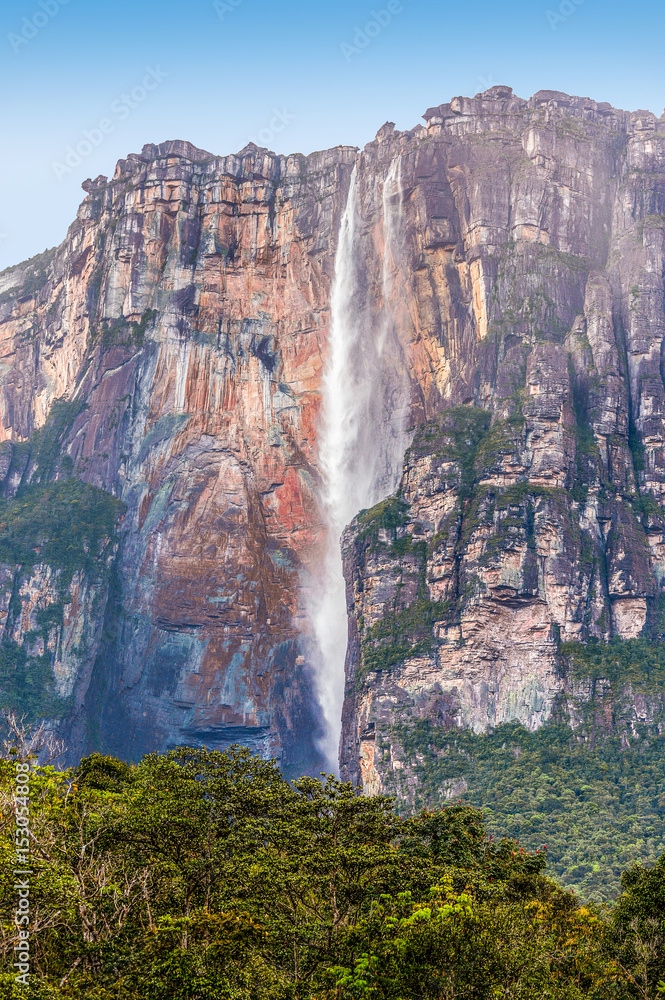 Fototapeta premium Angel Falls ( Salto Angel ) is worlds highest waterfalls (978 m) - Venezuela, South America