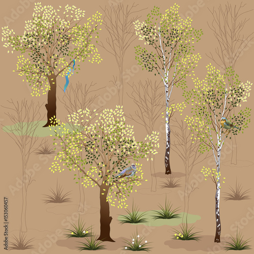 Deciduous forest. Beech and alder trees, birds.