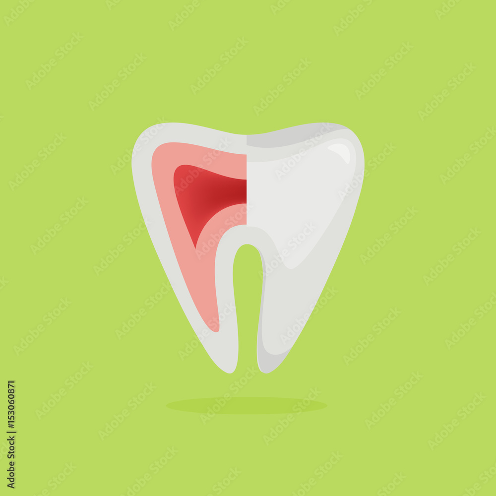 Tooth vector illustration Tooth vector illustration