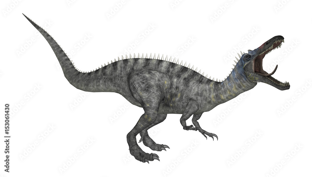 3D Rendering Dinosaur Suchomimus on White 3D Rendering Dinosaur Suchomimus on White