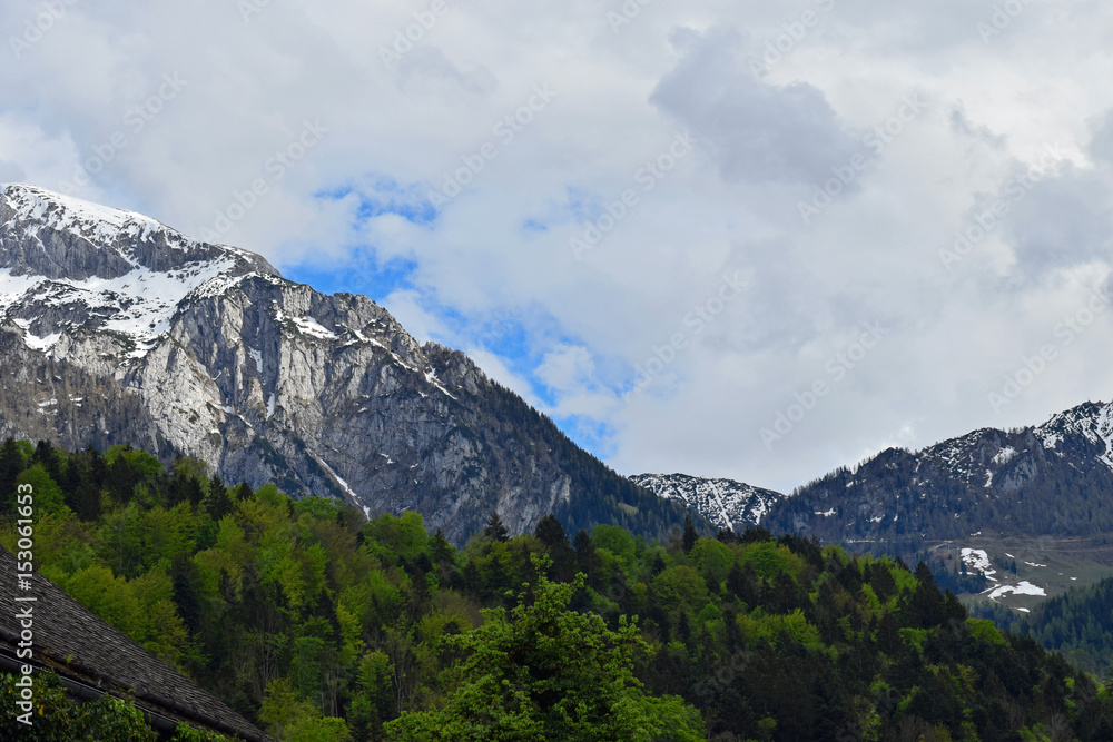 Snow capped mountains on Alps. Forest on foreground. View from Berchtesgaden, Bavaria, Germany. Horizontal image.