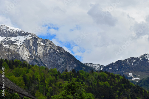 Snow capped mountains on Alps. Forest on foreground. View from Berchtesgaden  Bavaria  Germany. Horizontal image.