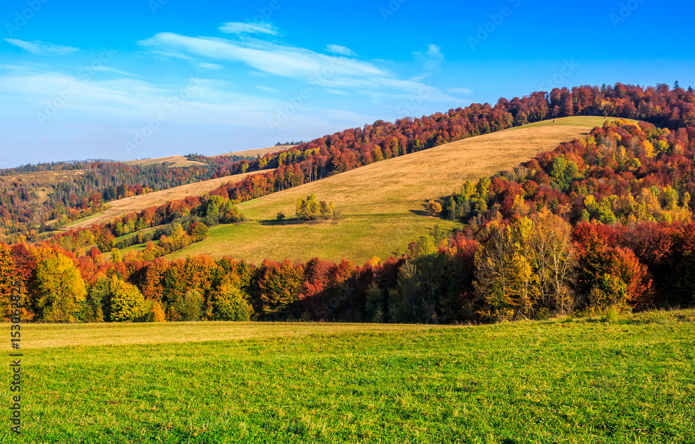 mountain rural area in late autumn