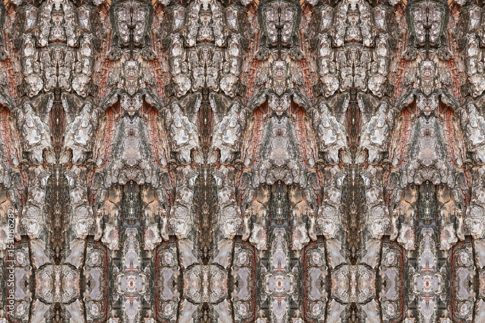 Obraz premium tree bark texture pattern. wood rind for background