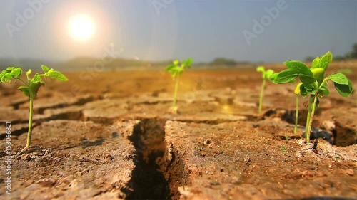 Natural droughts are followed.
