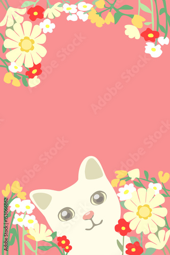 可愛い猫と花々のカード  /  葉書サイズ 
