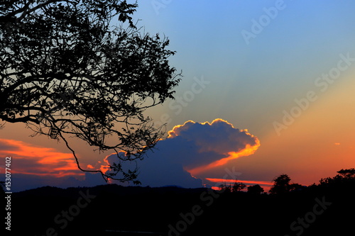 silhouette tree and sunset beautiful colorful landscape in sky twilight time