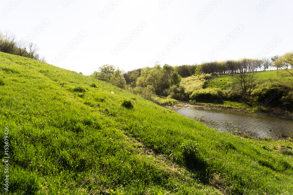 beautiful morning light in public park with green grass field beautiful morning light in public park with green grass field