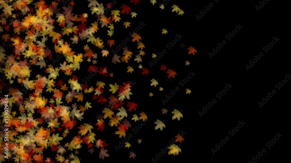 4k Maple leafs falling & flare light,Maple leaves autumn fall romantic drift particle artistic. 4k Maple leafs falling & flare light,Maple leaves autumn fall romantic drift particle artistic.