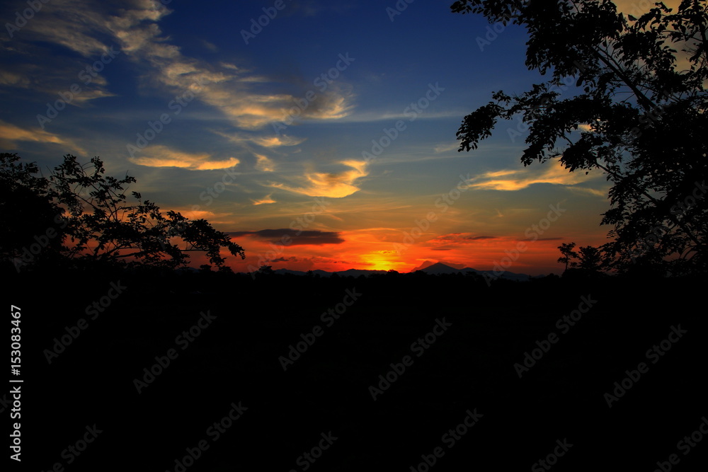 sunset beautiful colorful landscape and silhouette tree in sky twilight time