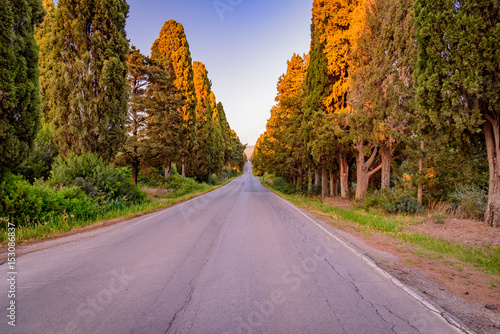 Etruscan coast in Tuscany between Bolgheri and Castagneto Carducci photo