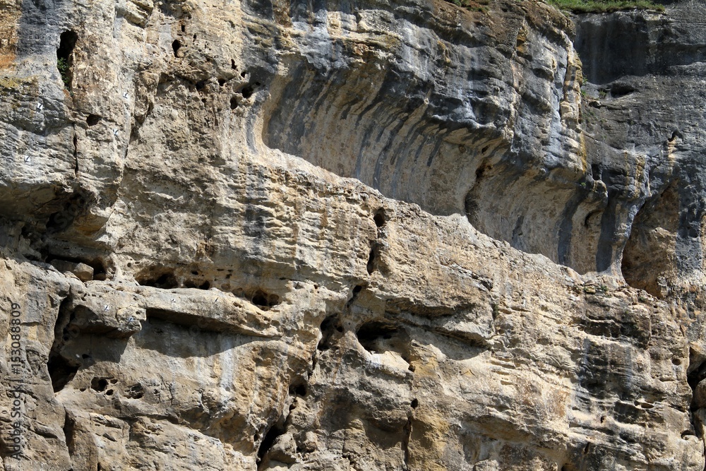 détail de falaise calcaire en Dordogne détail de falaise calcaire en Dordogne