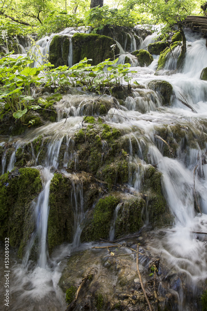 waterfall stream through the forest waterfall stream through the forest