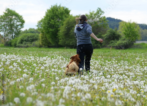 Lebensfreude, junges Mädchen läuft mit kleinem braunen Hund durch Pusteblumen, Rückenansicht