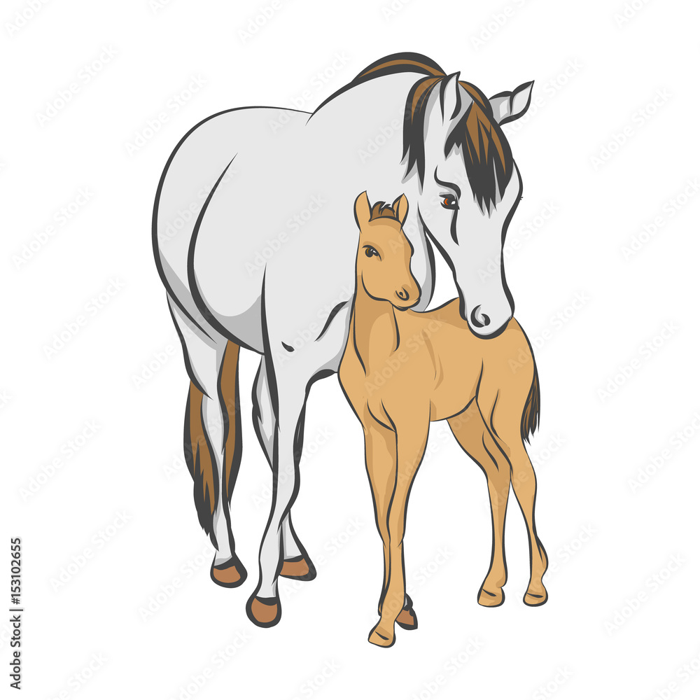 The grey horse and her foal