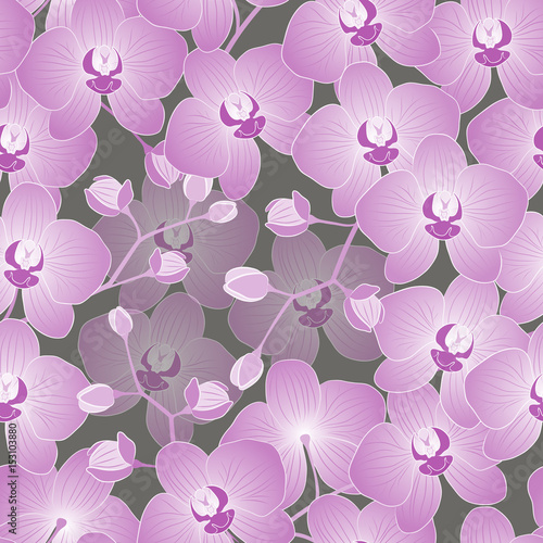 Seamless vector floral pattern. Tropical exotic flowers orchids in monochrome versions.