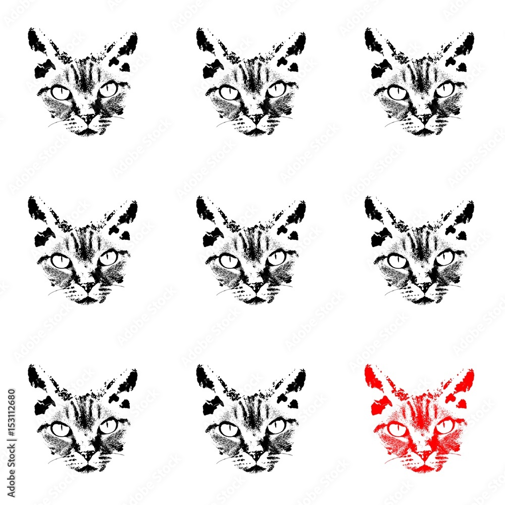 Black cat heads matrix on white background isolated drawing, one is different - red