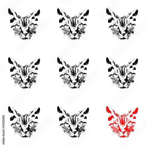 Black cat heads matrix on white background isolated drawing, one is different - red