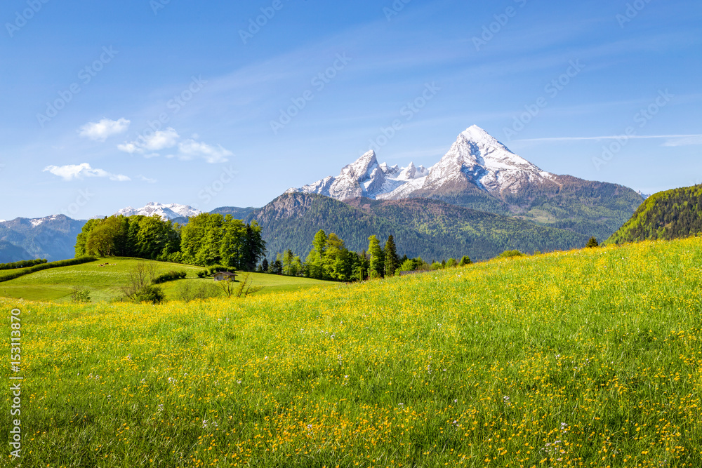 Fototapeta premium Mountain landscape in the alps in summer with Watzmann, Bavaria, Germany