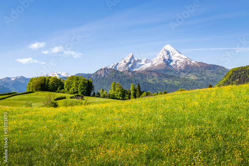 Mountain landscape in the alps in summer with Watzmann, Bavaria, Germany © mRGB