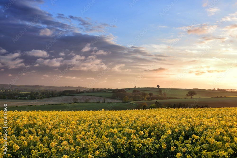 Lincolnshire countryside at dusk