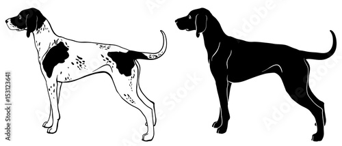 Pointer dog set - outline and silhouette vector