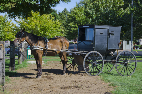 Amish Horse and Buggy © Shelley