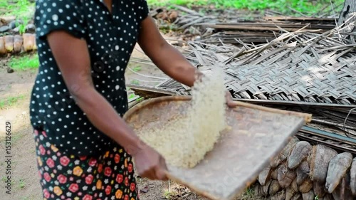 Indian woman cleans rice