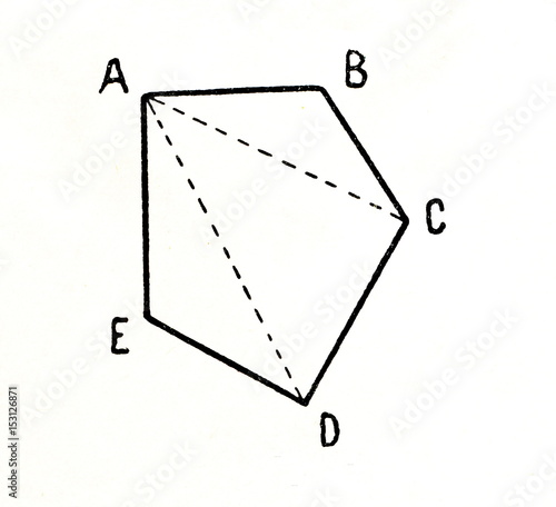 A polygon's diagonals photo